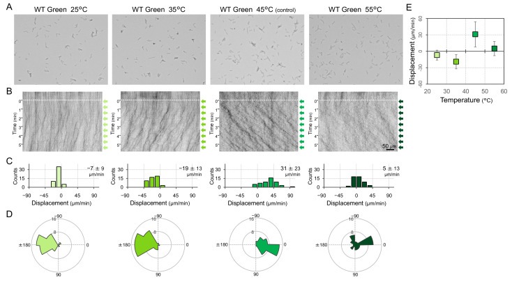 Figure 2—figure supplement 3.