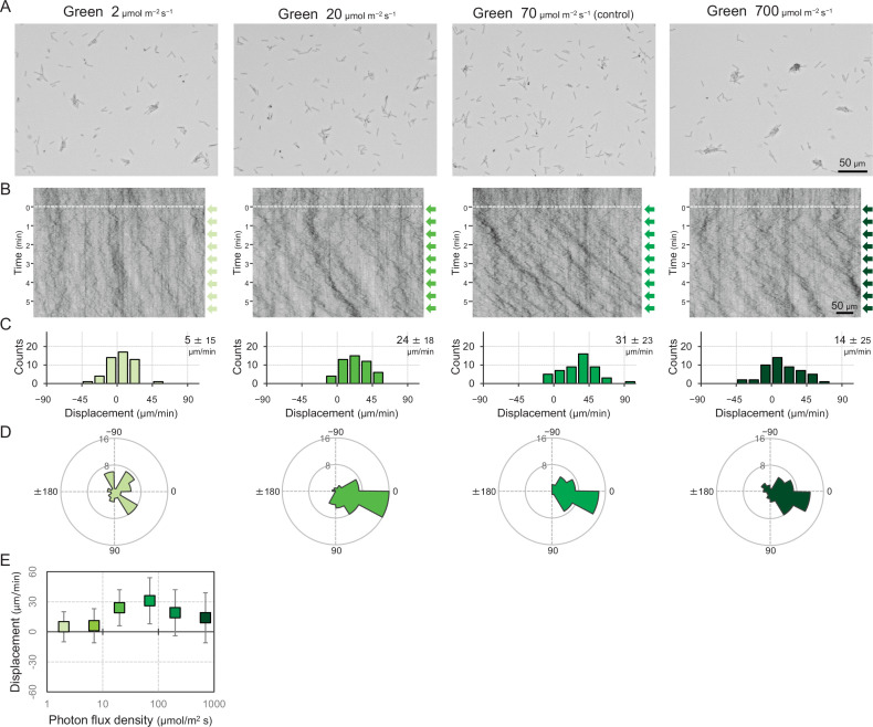 Figure 2—figure supplement 2.