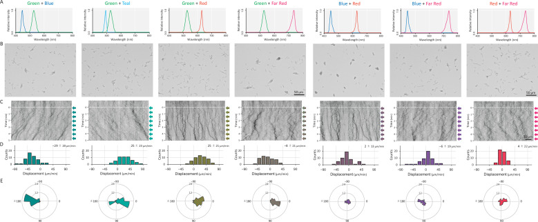 Figure 2—figure supplement 4.