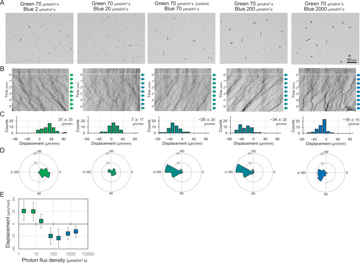 Figure 2—figure supplement 5.