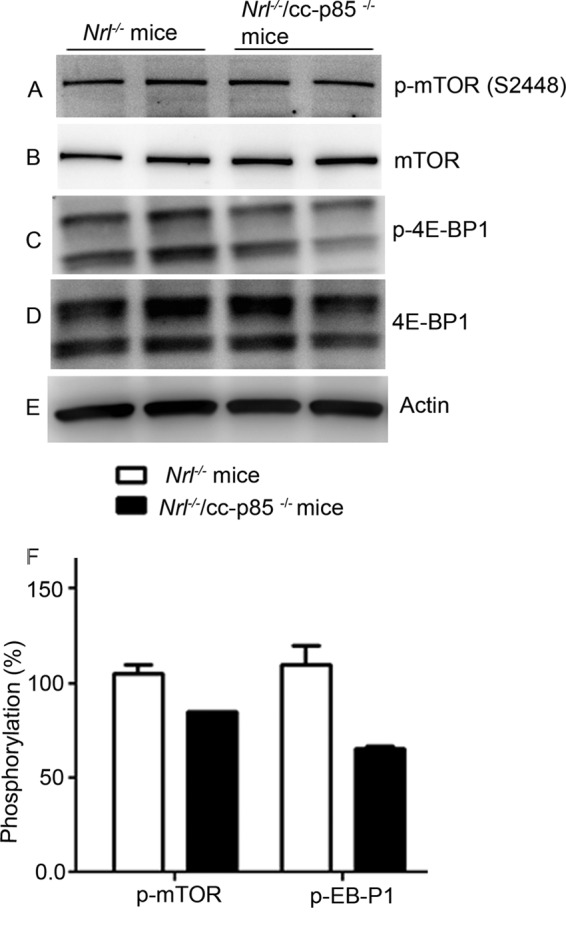 FIGURE 10.