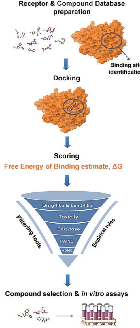 Fig. (1)