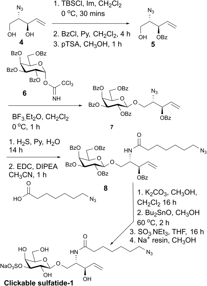 Scheme 2