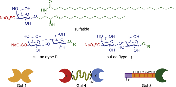 Figure 1