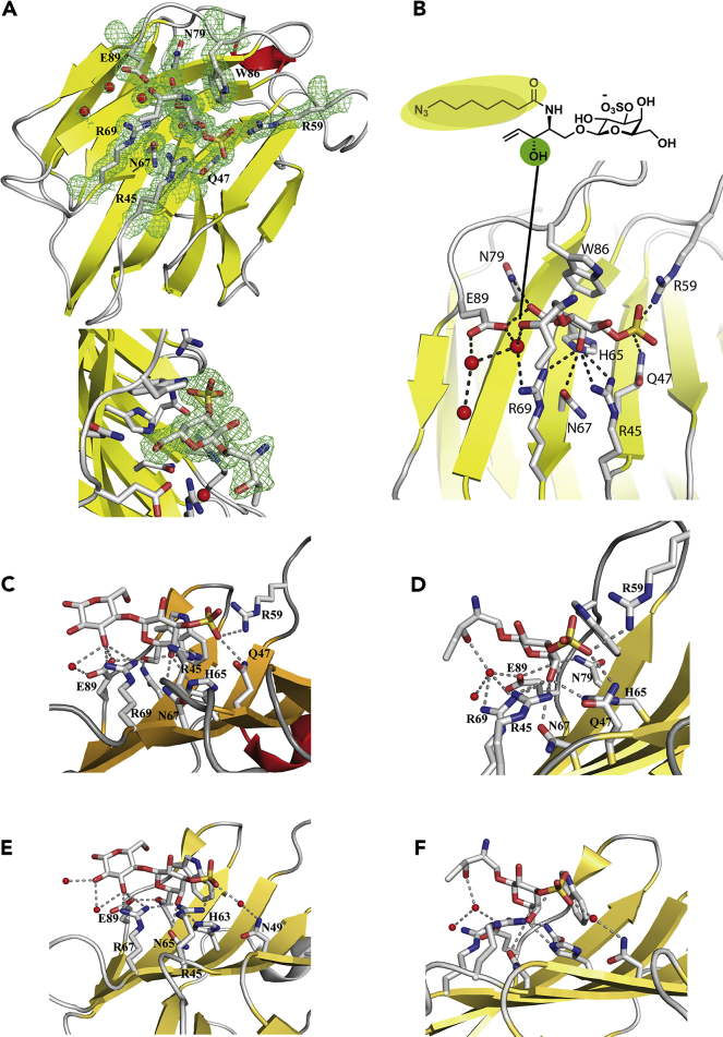 Figure 4