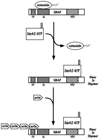 FIG. 6