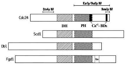 FIG. 5