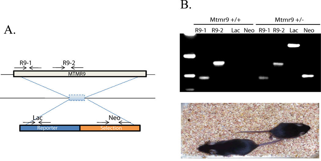 Figure 9