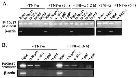 FIG. 9.