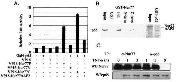 FIG. 6.