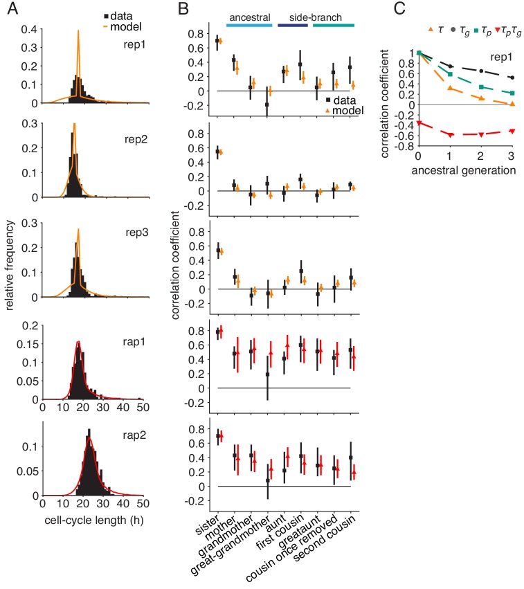 Figure 4—figure supplement 2.