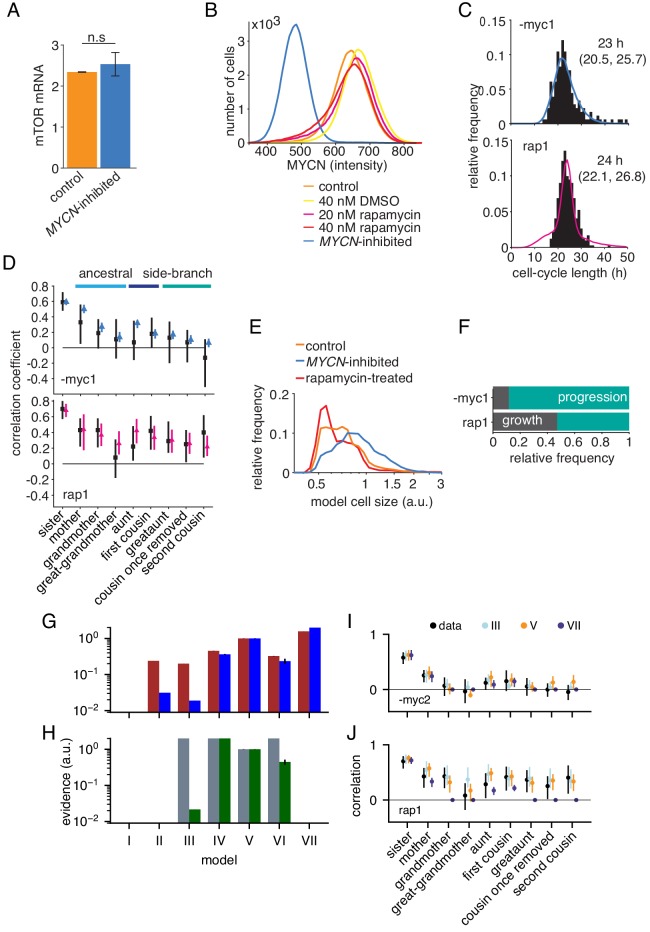 Figure 4—figure supplement 1.