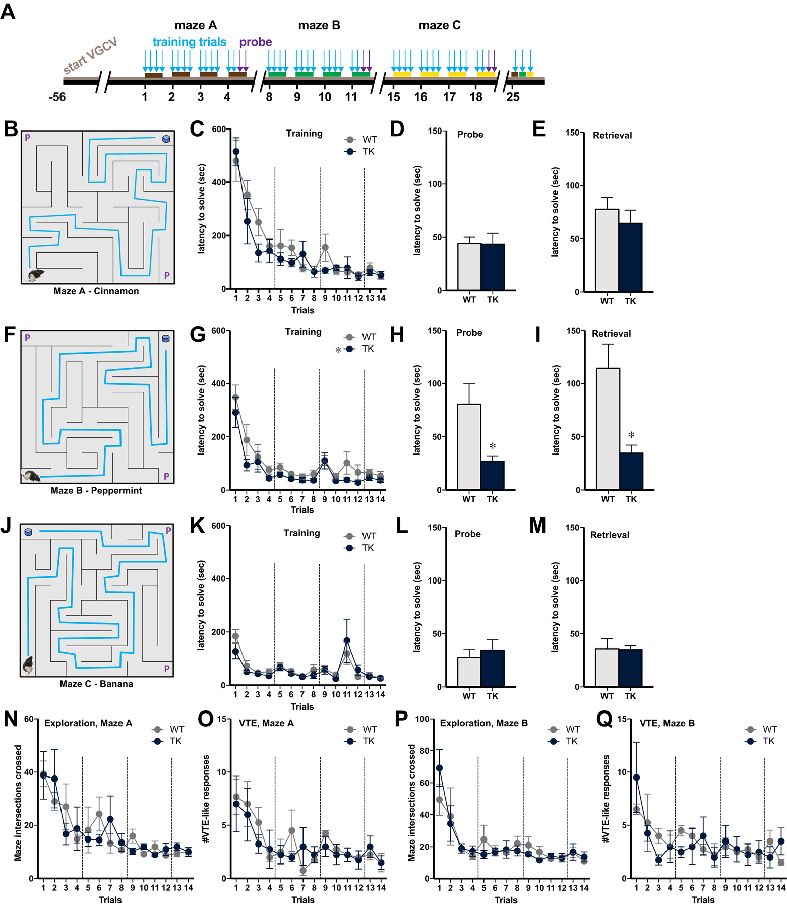 Figure 2: