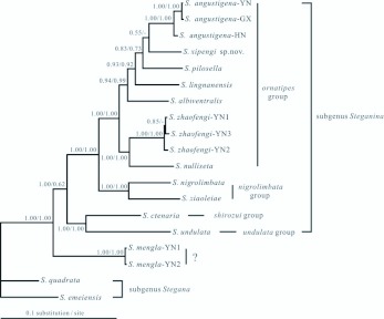 Figure 3. 