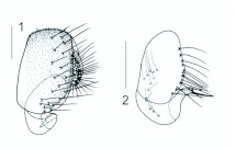 Figures 1–2. 