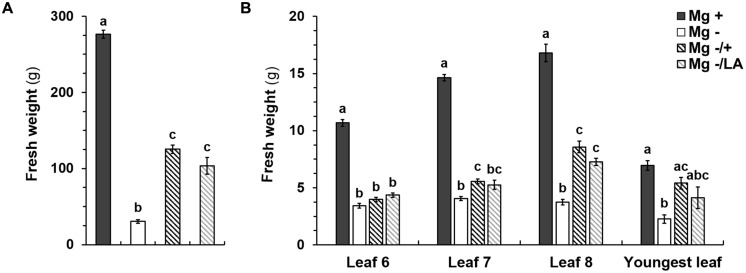 FIGURE 4