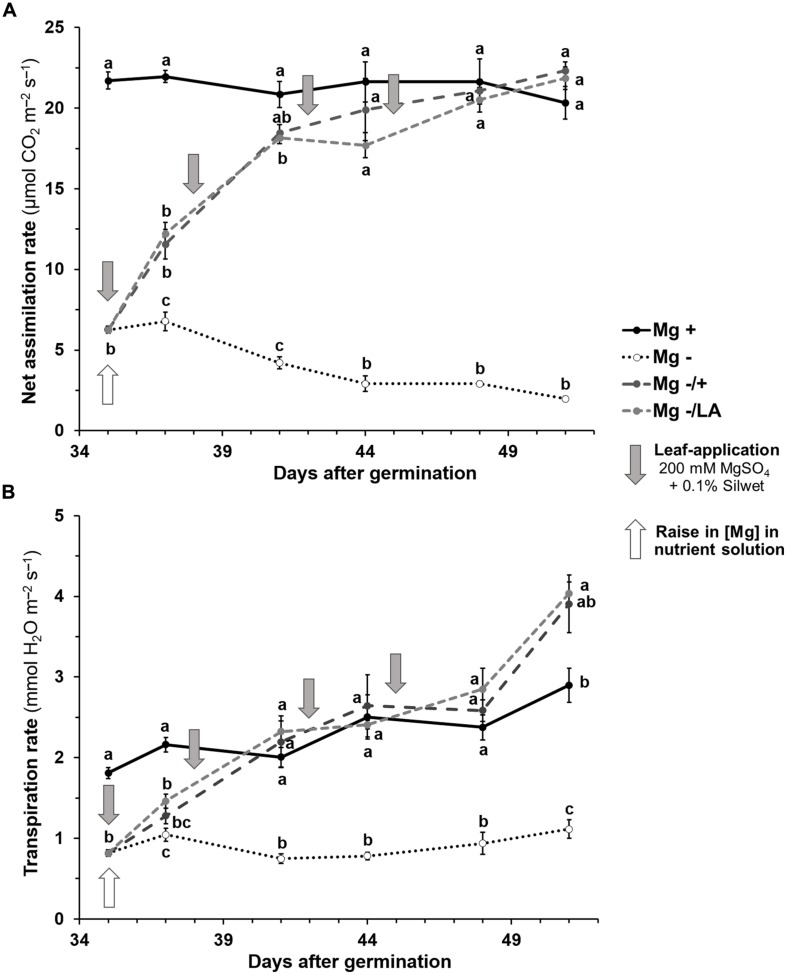 FIGURE 3