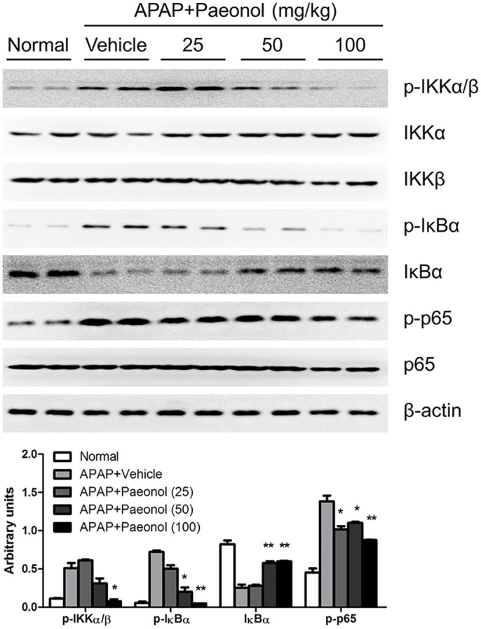 Fig 7