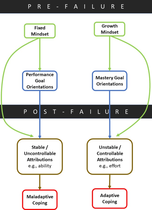 FIGURE 3.