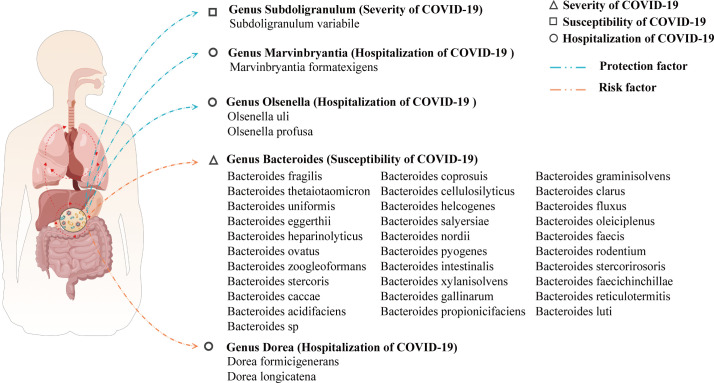 Figure 5