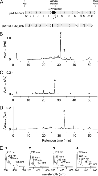 FIGURE 2.