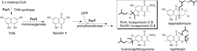 FIGURE 1.