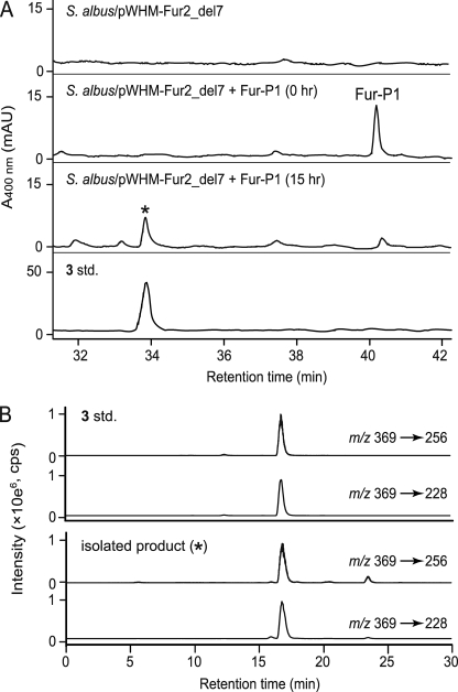 FIGURE 5.