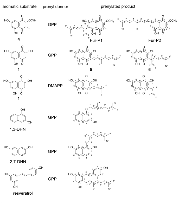 FIGURE 7.