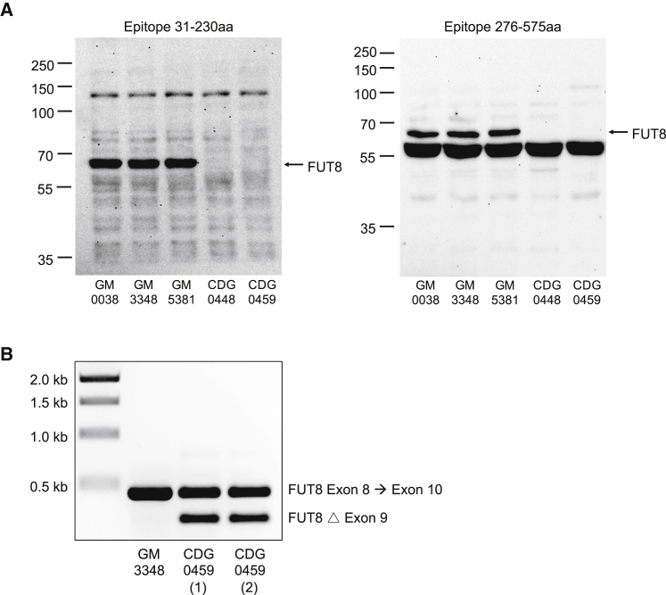 Figure 2