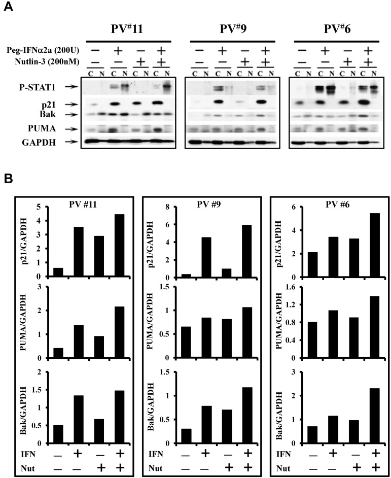 Figure 6