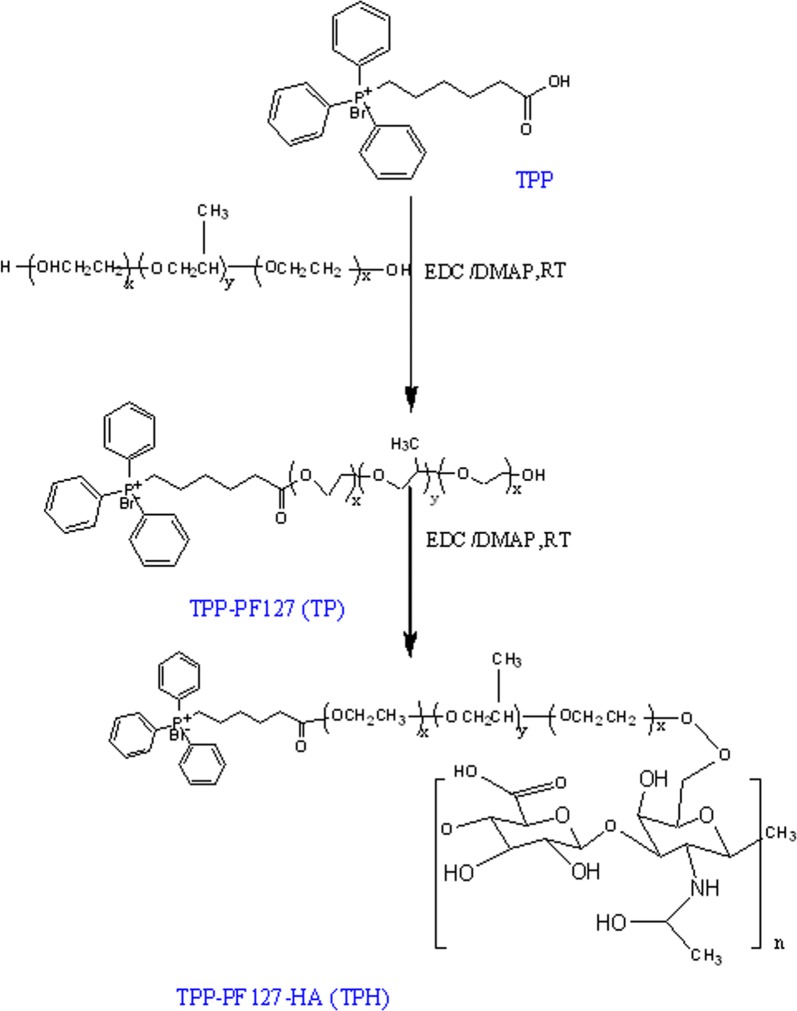 Scheme 2