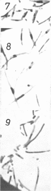 136