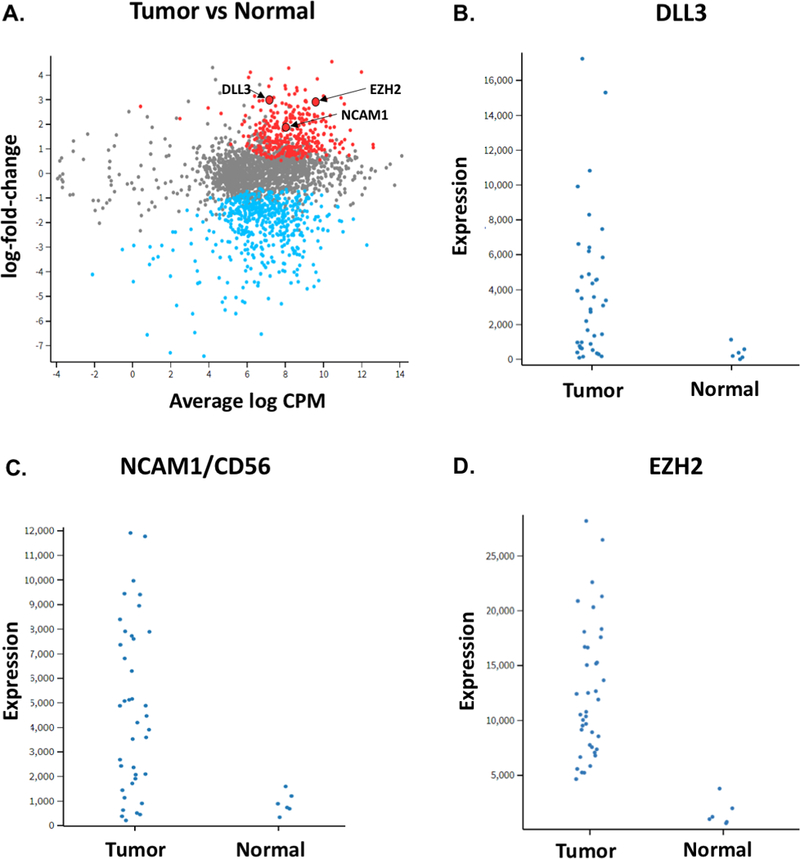 Figure 3: