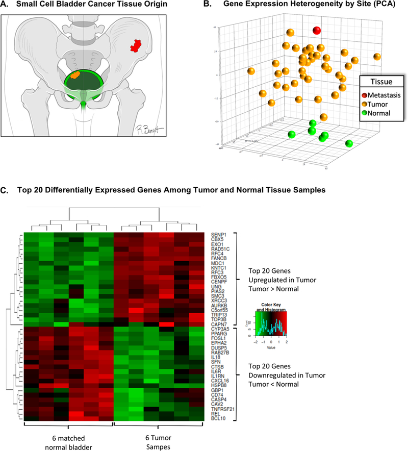 Figure 1: