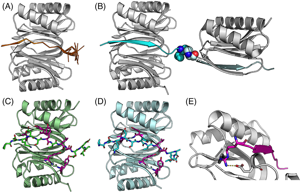 FIGURE 3