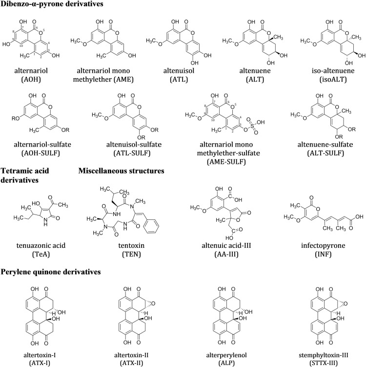 FIGURE 1