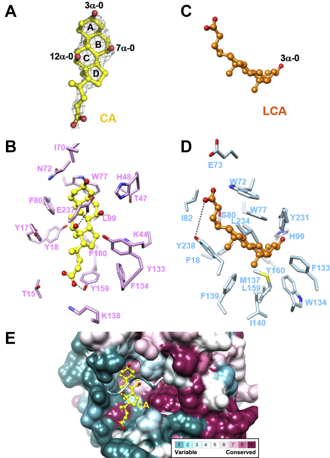 Fig. 3