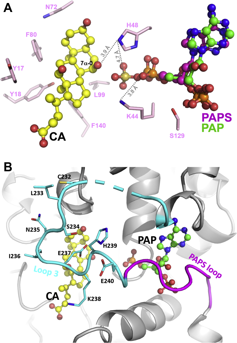 Fig. 4