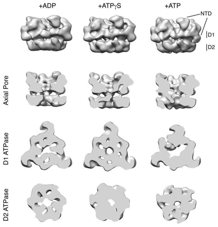 Figure 5