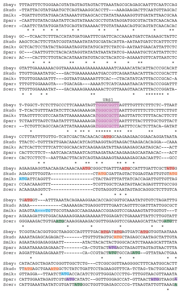 Figure 9—figure supplement 1.