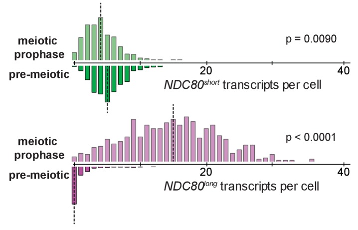 Figure 2—figure supplement 6.