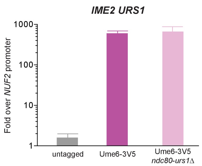 Figure 6—figure supplement 3.