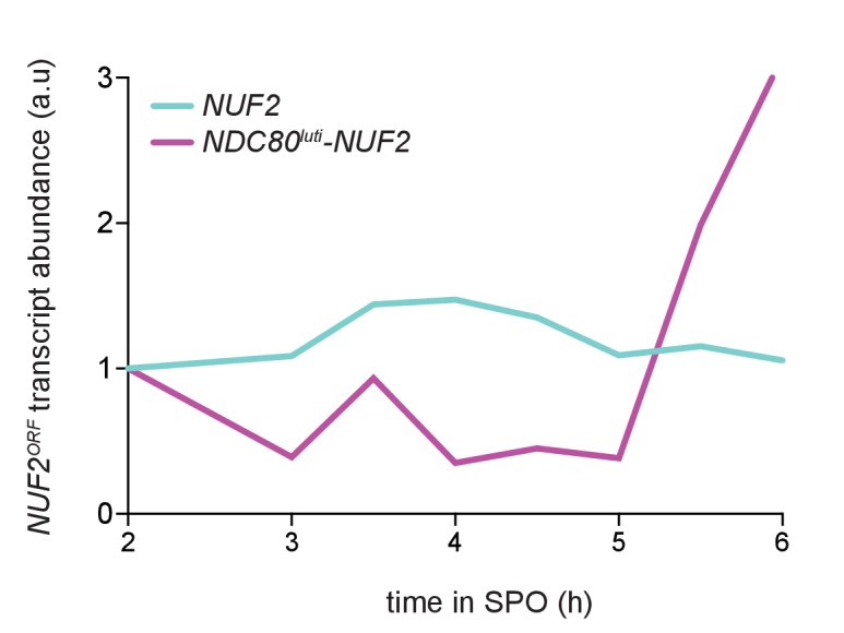 Figure 5—figure supplement 1.