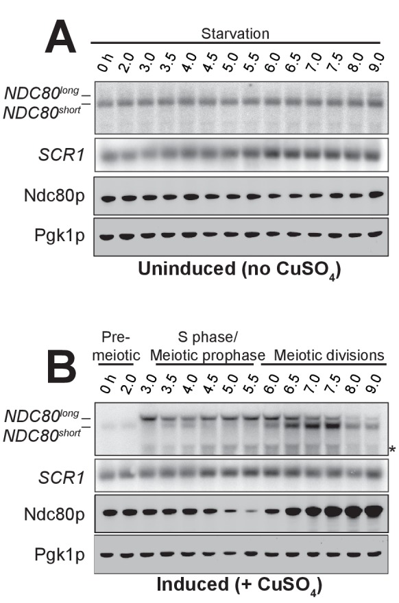 Figure 2—figure supplement 2.