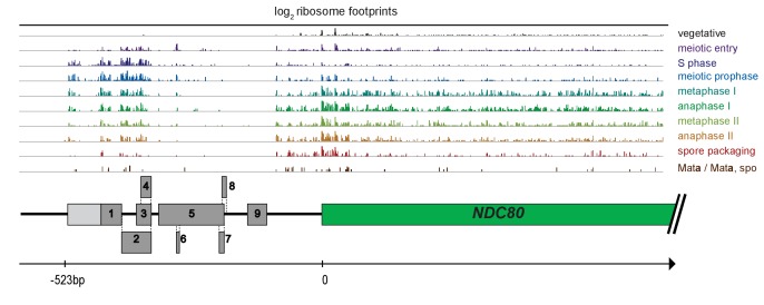 Figure 3—figure supplement 1.