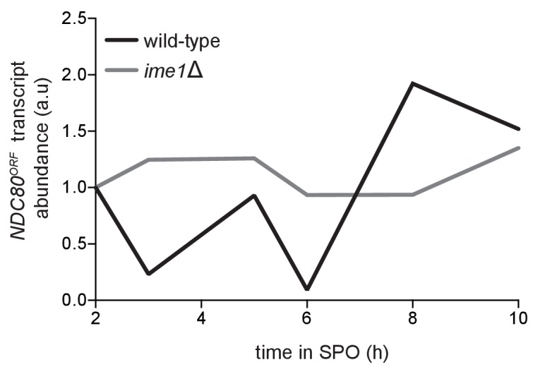 Figure 6—figure supplement 1.