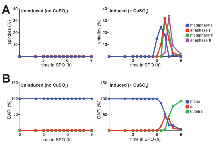 Figure 2—figure supplement 3.