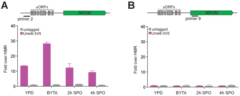 Figure 6—figure supplement 2.