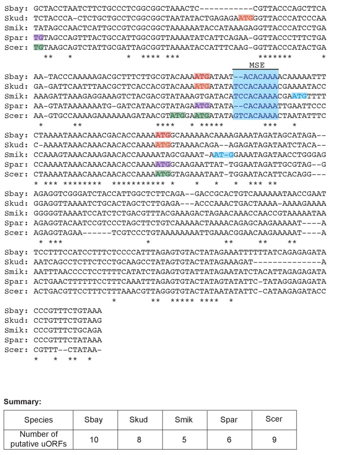 Figure 9—figure supplement 2.