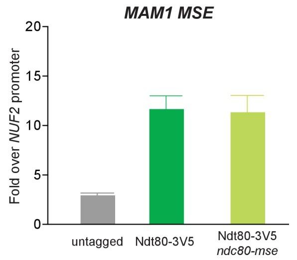 Figure 6—figure supplement 4.